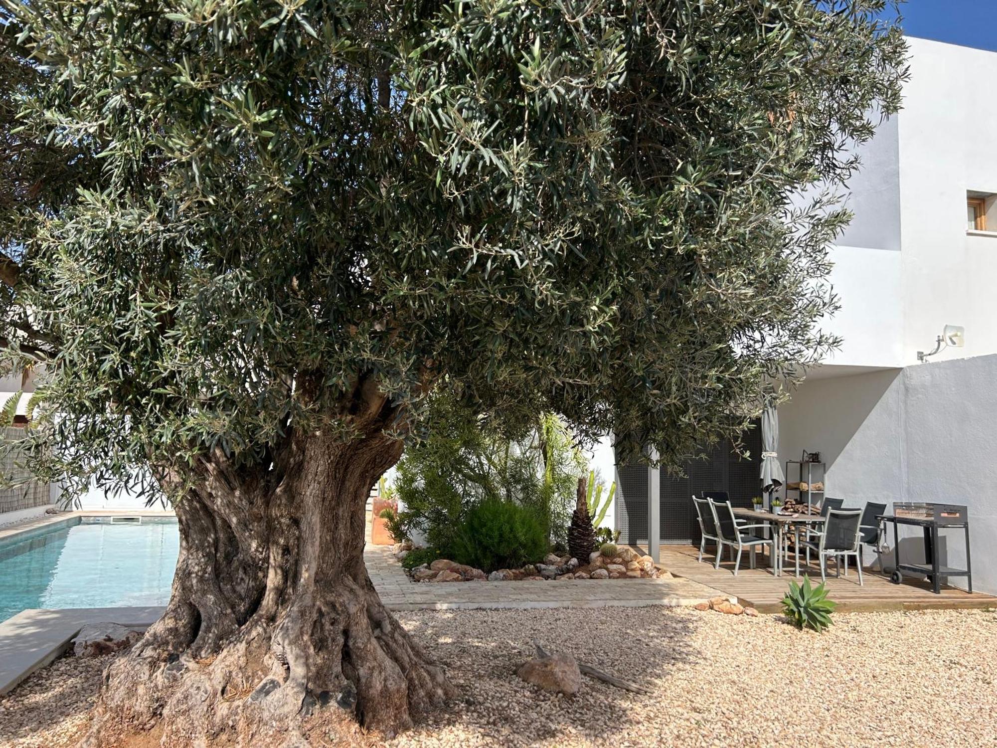 Villa Filon Rodalquilar Exteriér fotografie